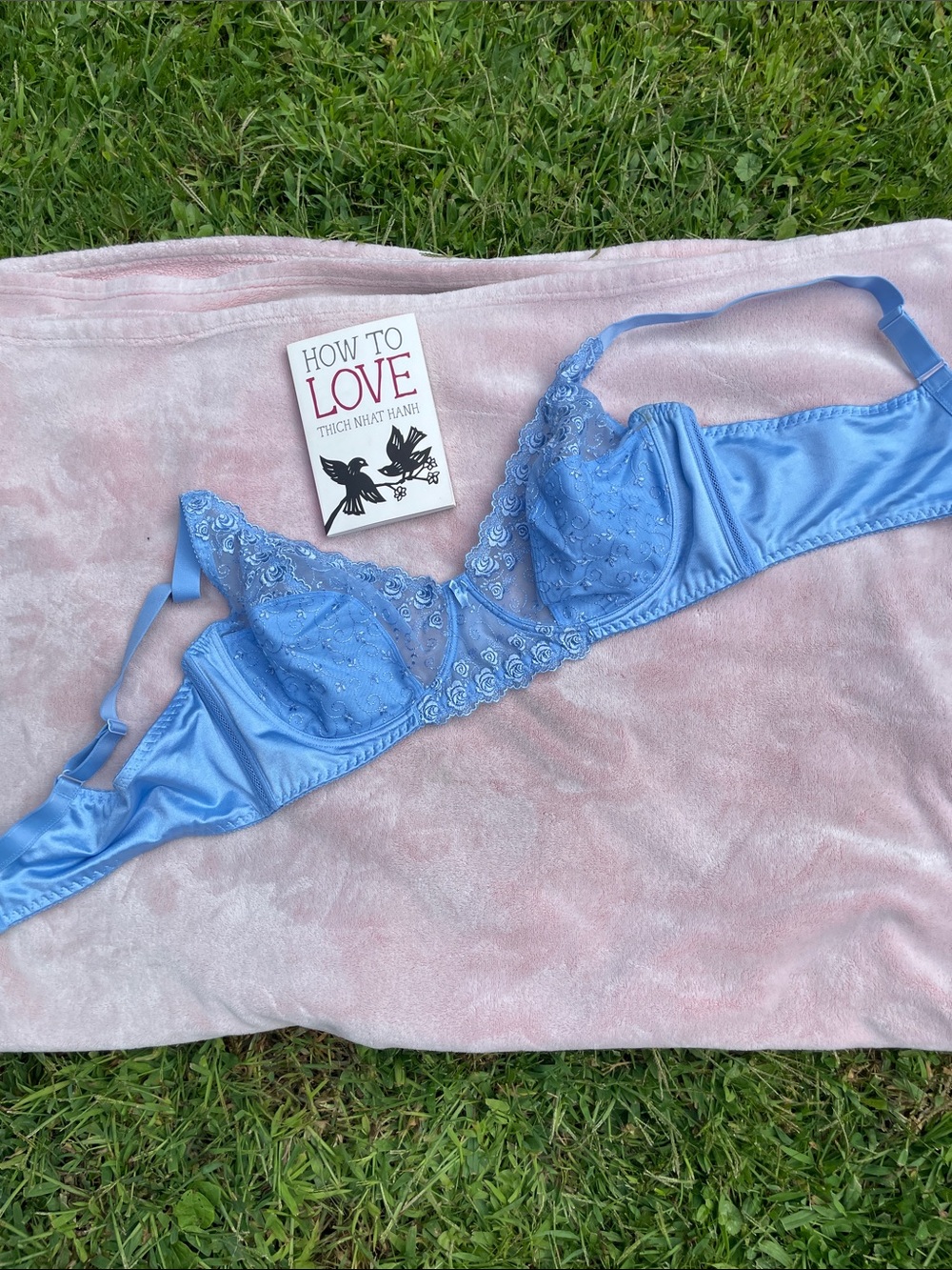 Vintage Venus by Cortland Full Figure Bra Light Blue Style 7176 Size 42DD